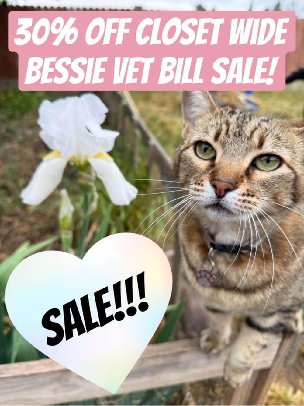 Closet Wide Sale for Bessie’s Vet Bills!!! Read description for details. :)